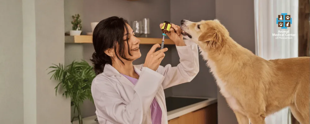 Saturdays & Sundays
from 1–3 PM | $24 vaccinations