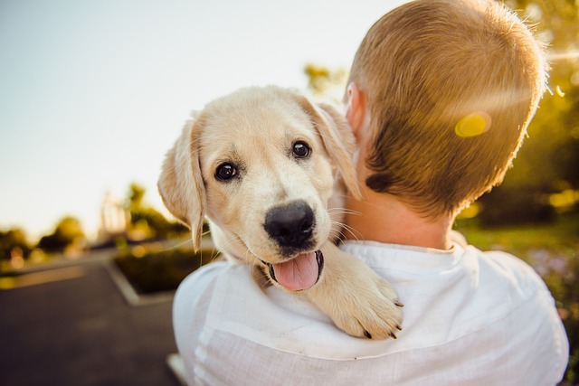 Person holding a golden retriever puppy, emphasizing pet care during cold weather at Animal Medical Center of Pleasanton.