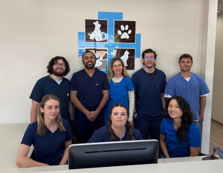 Animal Medical Center of Pleasanton - Caring for your pets